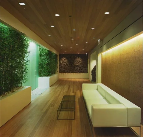 Timber-lined lounge with white seats and a green plant wall.