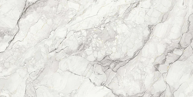 Camouflage Book B Natural ceramic surface pattern